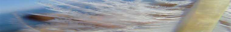 Possibilities Unlimited Hypnotherapy, Kim Leader, Hypnotherapsit Brighton 
