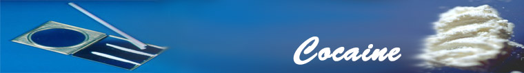 Possibilities Unlimited Hypnotherapy, Kim Leader Hypnotherapist in Brighton